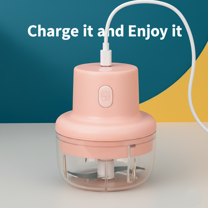 KolorFish Electric Mini Garlic Chopper 250ml Electric Vegetable Chopper